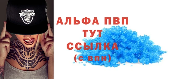 крисы Алексин