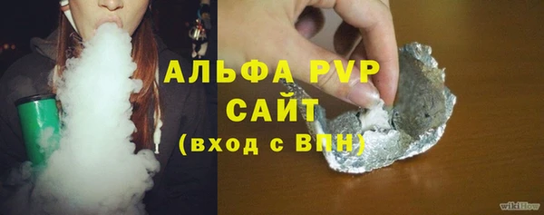 крисы Алексин