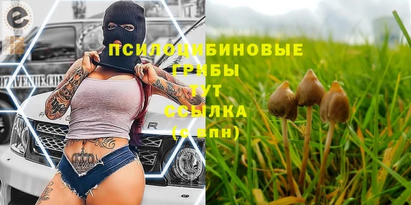 крисы Алексин