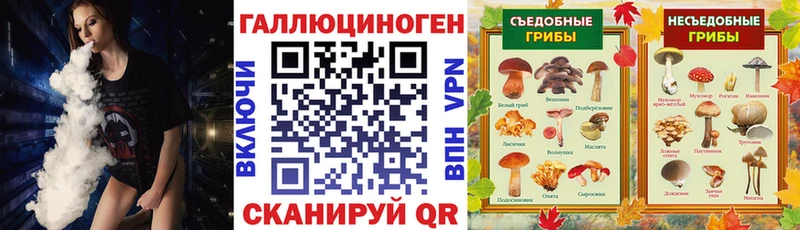 Псилоцибиновые грибы Cubensis Киселёвск