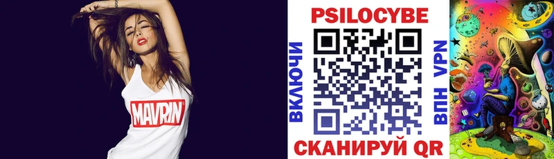 Галлюциногенные грибы Psilocybe Киселёвск